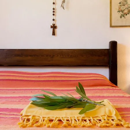 Casa Nicoletta * Tanaunella